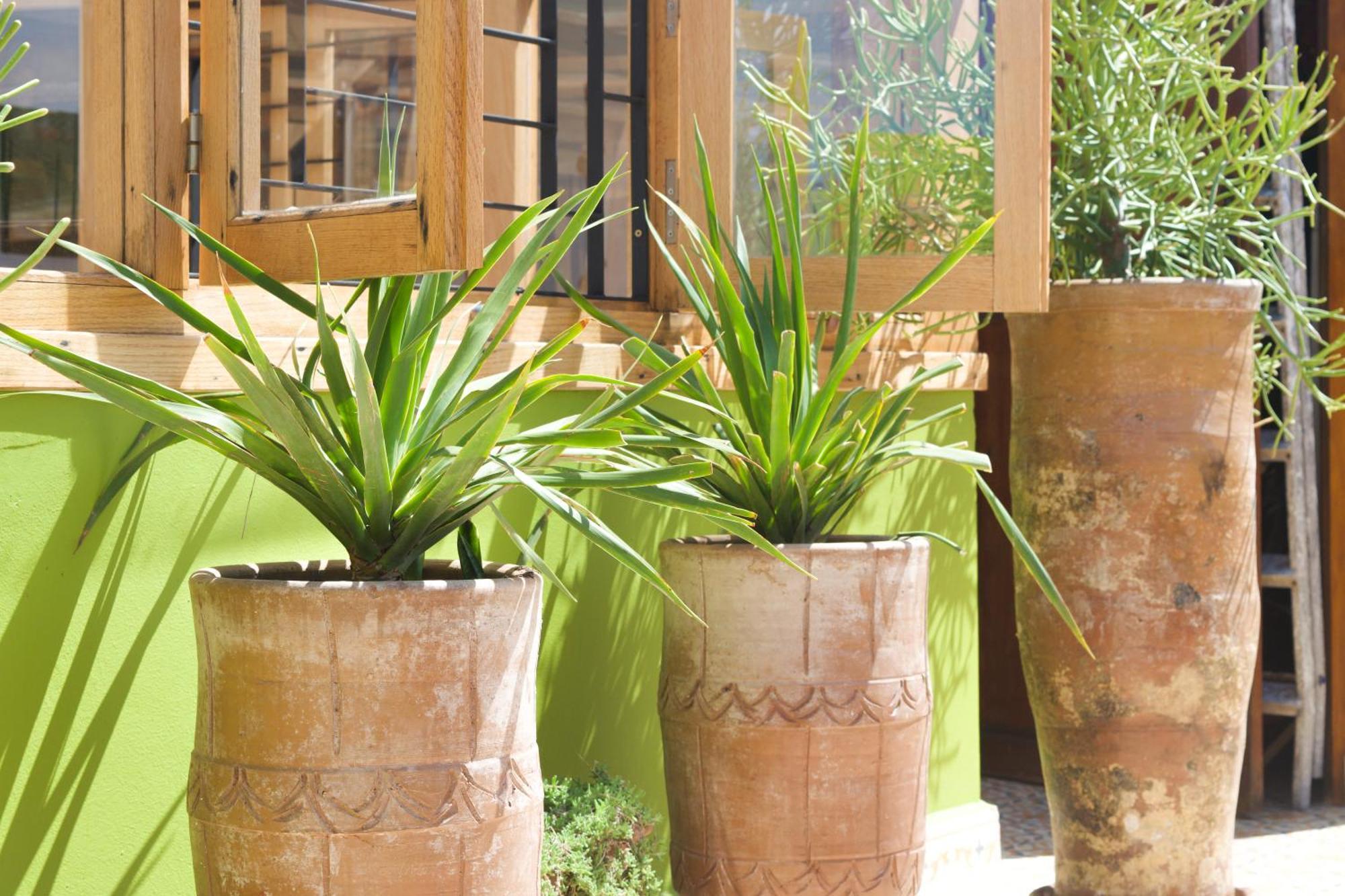 Le Khan Mogador Bed & Breakfast Essaouira